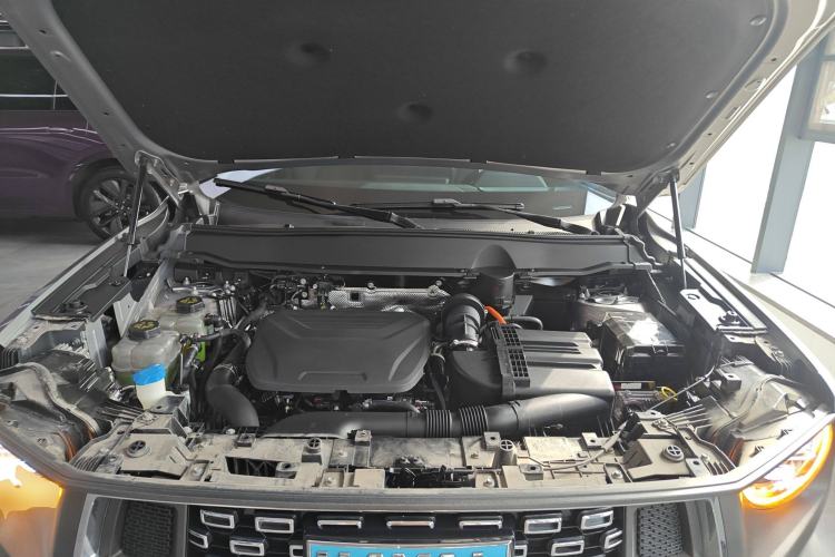 Used Haval H Dog New Energy 2023 DHT-PHEV 105km Tide Electric Version Plus Engine Bay