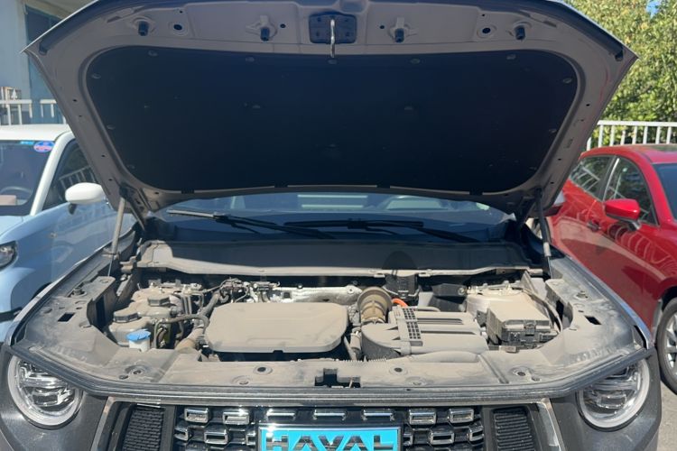 Used Haval H Dog New Energy 2023 DHT-PHEV 105km Tide Electric Version Plus Engine Bay
