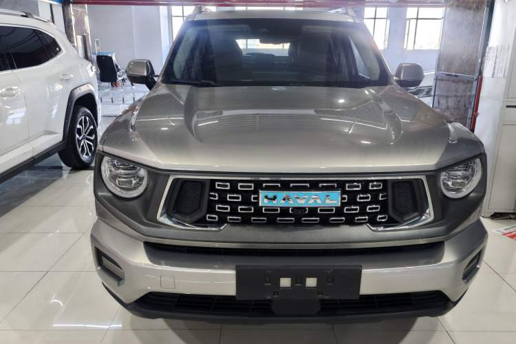 Used Haval H Dog New Energy 2023 DHT-PHEV 105km Tide Electric Version Plus Exterior 1