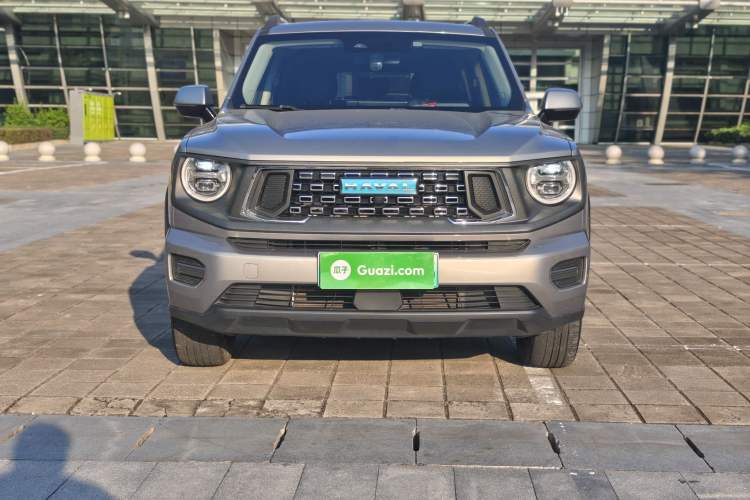 Used Haval H Dog New Energy 2023 DHT-PHEV 105km Tide Electric Version Plus Exterior 1