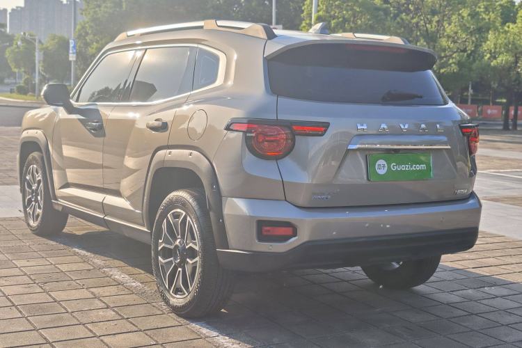 Used Haval H Dog New Energy 2023 DHT-PHEV 105km Tide Electric Version Plus Exterior 8