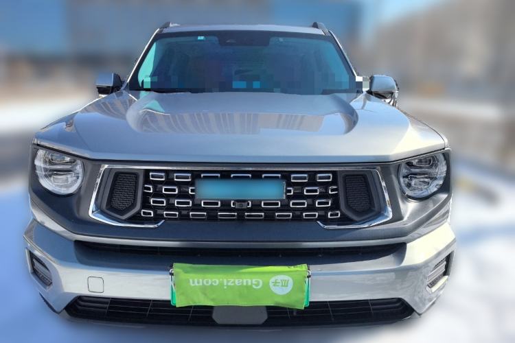 Used Haval H Dog New Energy 2023 DHT-PHEV 105km Trend Electric Edition Front