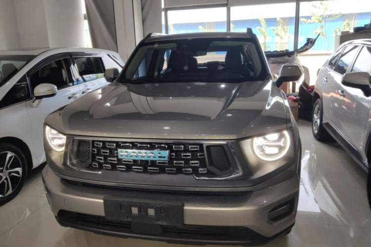 Used Haval H Dog New Energy 2023 DHT-PHEV 105km Tide Electric Version Plus Front