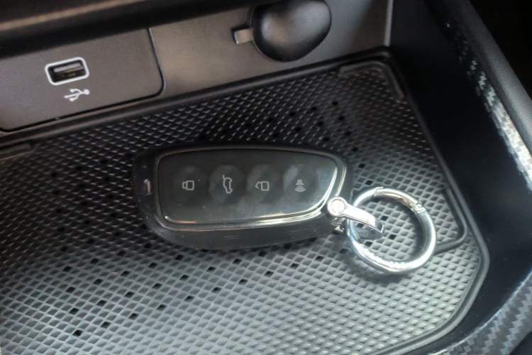 Used Haval H Dog New Energy 2023 DHT-PHEV 105km Tide Electric Version Plus Interior 1