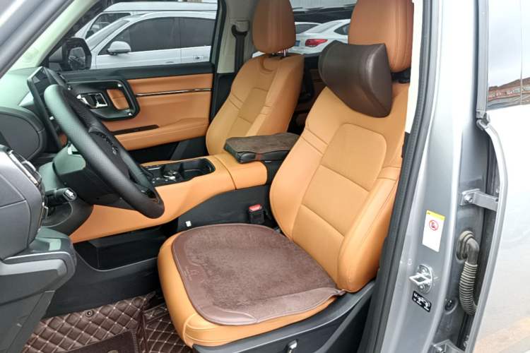 Used Haval H Dog New Energy 2023 DHT-PHEV 105km Tide Electric Version Plus Left Front Seat