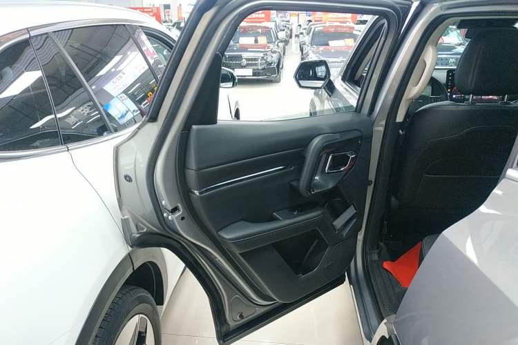 Used Haval H Dog New Energy 2023 DHT-PHEV 105km Tide Electric Version Plus Left Rear Door Interior
