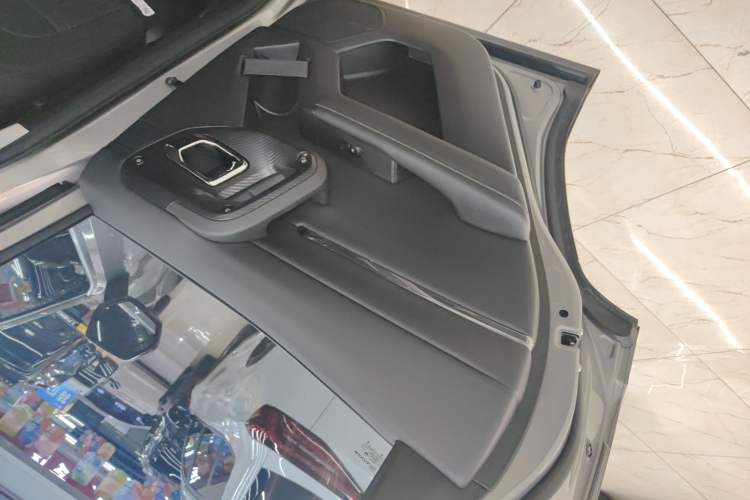 Used Haval H Dog New Energy 2023 DHT-PHEV 105km Trend Electric Edition Left Rear Door Interior