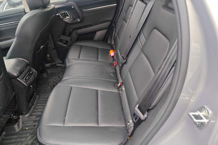 Used Haval H Dog New Energy 2023 DHT-PHEV 105km Tide Electric Version Plus Left Rear Seat