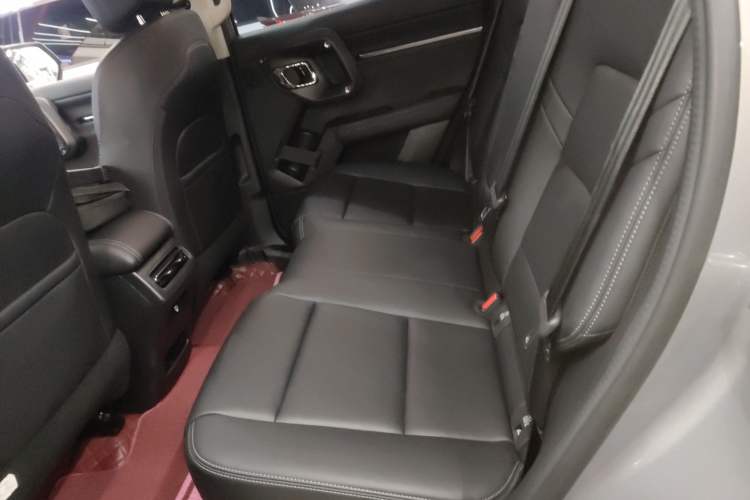 Used Haval H Dog New Energy 2023 DHT-PHEV 105km Trend Electric Edition Left Rear Seat