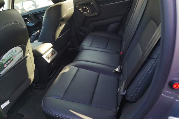 Used Haval H Dog New Energy 2023 DHT-PHEV 105km Trend Electric Edition Left Rear Seat