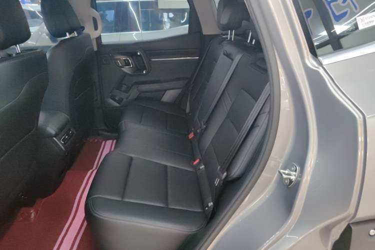 Used Haval H Dog New Energy 2023 DHT-PHEV 105km Trend Electric Edition Left Rear Seat