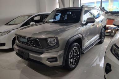 Used Haval H Dog New Energy 2023 DHT-PHEV 105km Tide Electric Version Plus