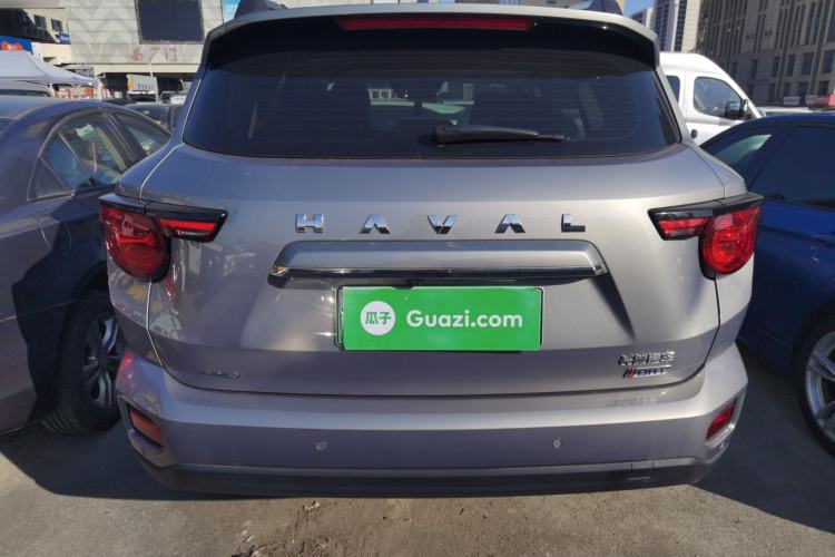 Used Haval H Dog New Energy 2023 DHT-PHEV 105km Trend Electric Edition Rear