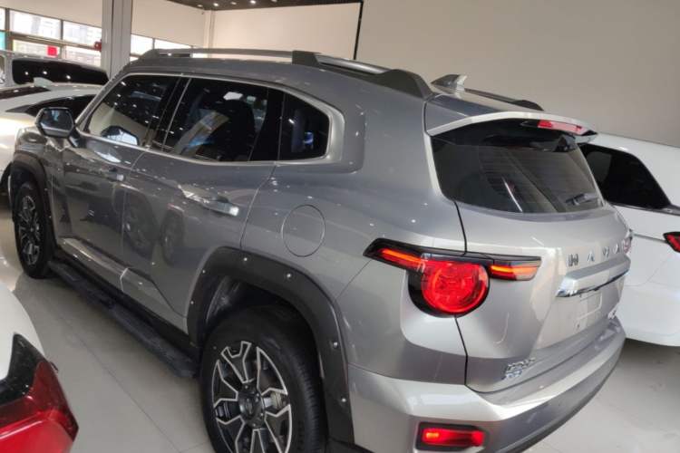 Used Haval H Dog New Energy 2023 DHT-PHEV 105km Tide Electric Version Plus Rear Left 45 Deg