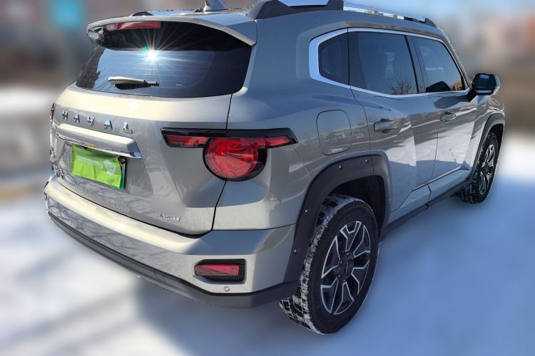 Used Haval H Dog New Energy 2023 DHT-PHEV 105km Trend Electric Edition Rear Right 45 Deg