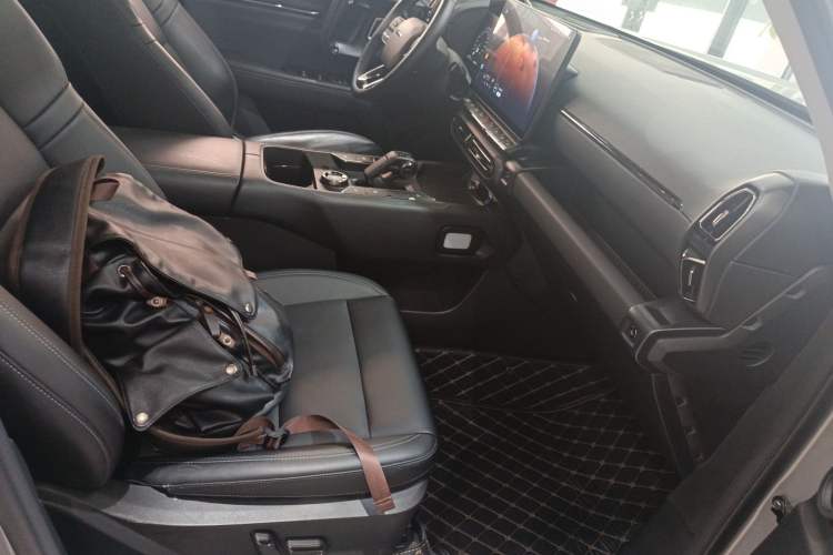 Used Haval H Dog New Energy 2023 DHT-PHEV 105km Tide Electric Version Plus Right Front Seat