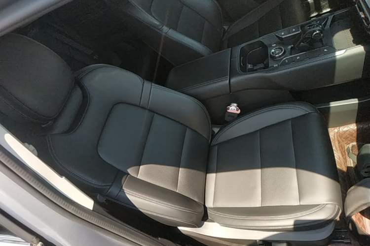 Used Haval H Dog New Energy 2023 DHT-PHEV 105km Tide Electric Version Plus Right Front Seat