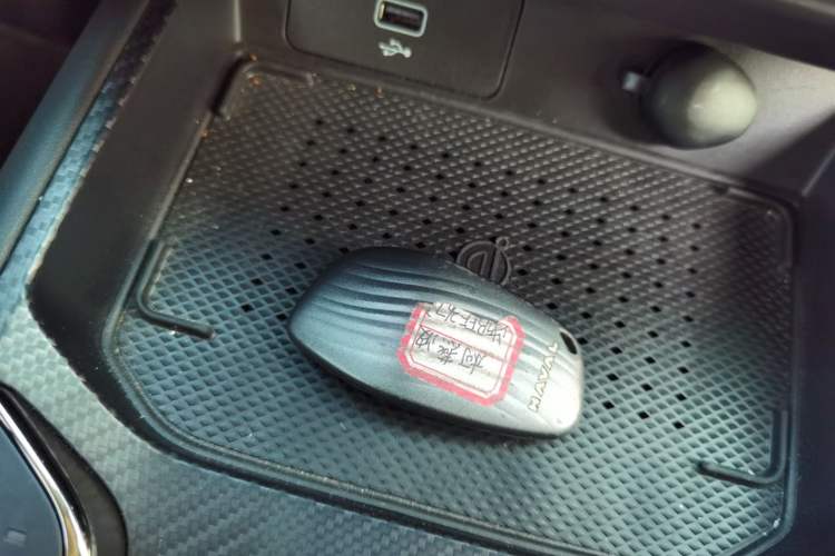 Used Haval H Dog New Energy 2023 DHT-PHEV 105km Trend Electric Edition Vehicle Key