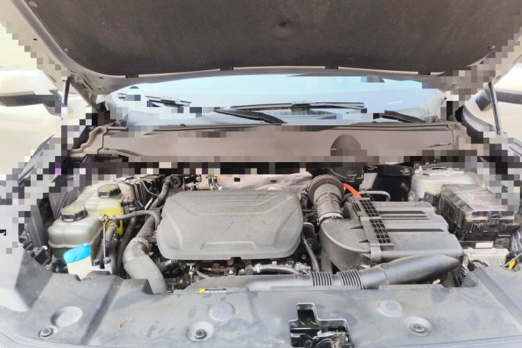 Used Haval H Dog New Energy 2023 DHT-PHEV 105km Tide Electric Version Plus Engine Bay