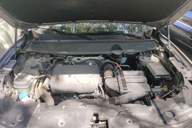 Used Haval H Dog New Energy 2023 DHT-PHEV 105km Tide Electric Version Plus Engine Bay