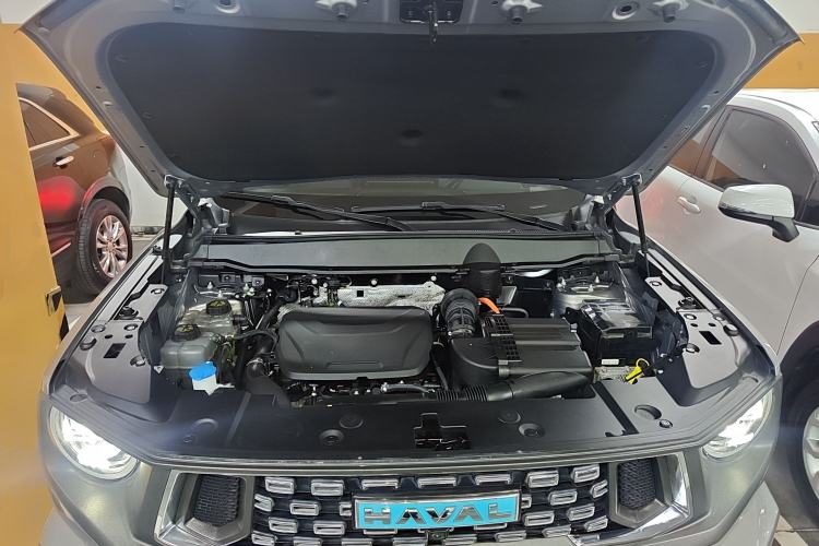 Used Haval H Dog New Energy 2023 DHT-PHEV 105km Tide Electric Version Plus Engine Bay
