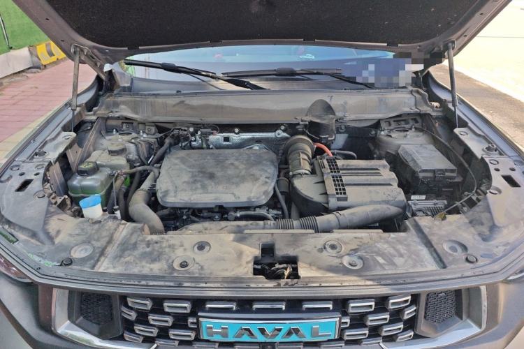 Used Haval H Dog New Energy 2023 DHT-PHEV 105km Tide Electric Version Plus Engine Bay