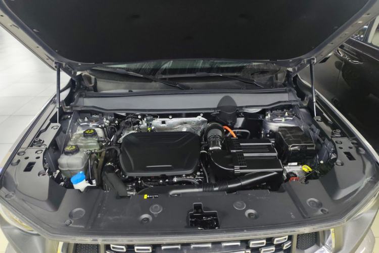 Used Haval H Dog New Energy 2023 DHT-PHEV 105km Tide Electric Version Plus Engine Bay