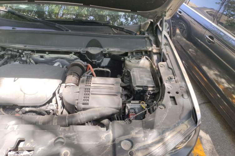 Used Haval H Dog New Energy 2023 DHT-PHEV 105km Tide Electric Version Plus Engine Bay Left
