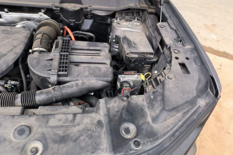 Used Haval H Dog New Energy 2023 DHT-PHEV 105km Tide Electric Version Plus Engine Bay Left
