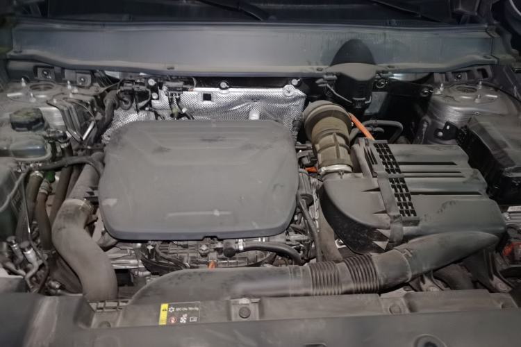 Used Haval H Dog New Energy 2023 DHT-PHEV 105km Tide Electric Version Plus Engine Bay