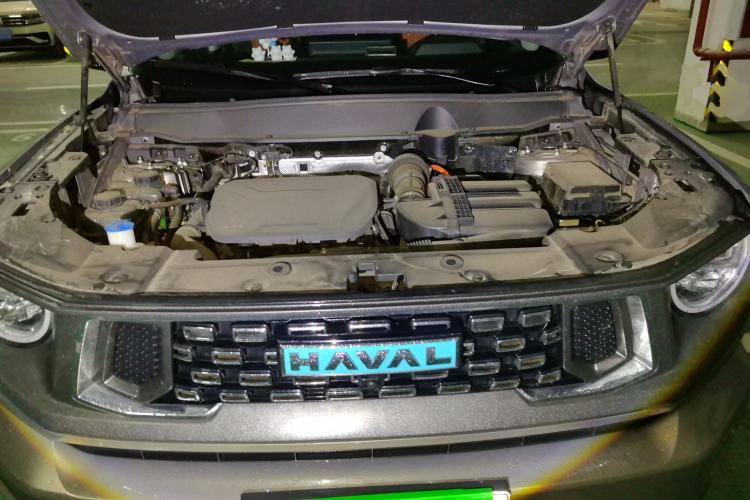 Used Haval H Dog New Energy 2023 DHT-PHEV 105km Tide Electric Version Plus Engine Bay