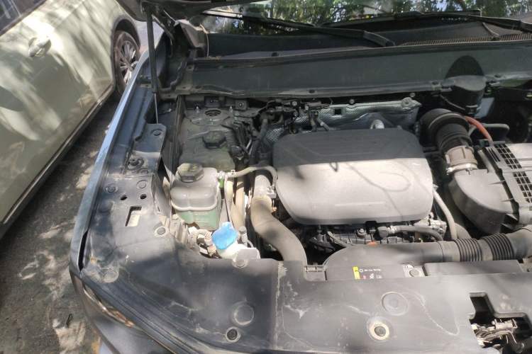 Used Haval H Dog New Energy 2023 DHT-PHEV 105km Tide Electric Version Plus Engine Bay Right