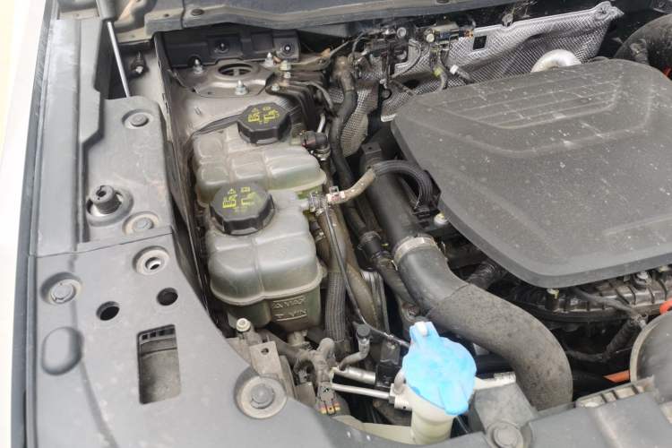 Used Haval H Dog New Energy 2023 DHT-PHEV 105km Tide Electric Version Plus Engine Bay Right