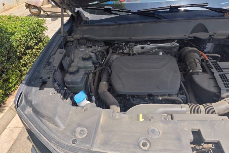 Used Haval H Dog New Energy 2023 DHT-PHEV 105km Tide Electric Version Plus Engine Bay Right