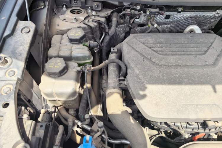 Used Haval H Dog New Energy 2023 DHT-PHEV 105km Tide Electric Version Plus Engine Bay Right
