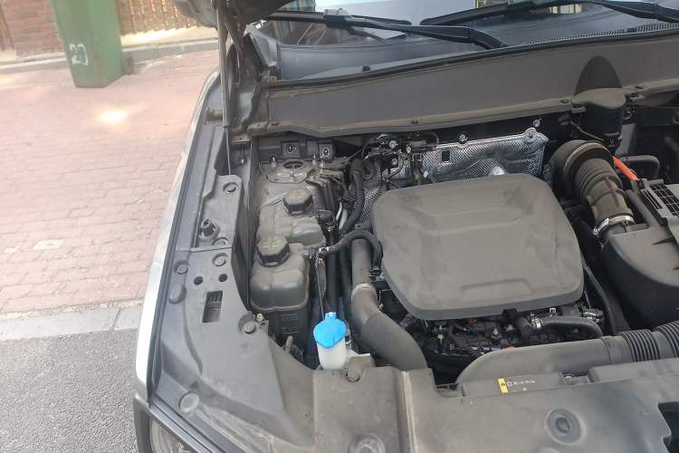 Used Haval H Dog New Energy 2023 DHT-PHEV 105km Tide Electric Version Plus Engine Bay Right