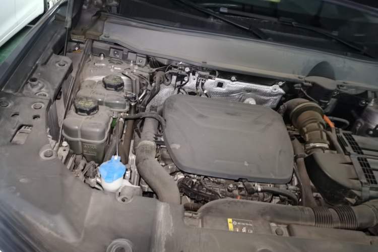 Used Haval H Dog New Energy 2023 DHT-PHEV 105km Tide Electric Version Plus Engine Bay Right