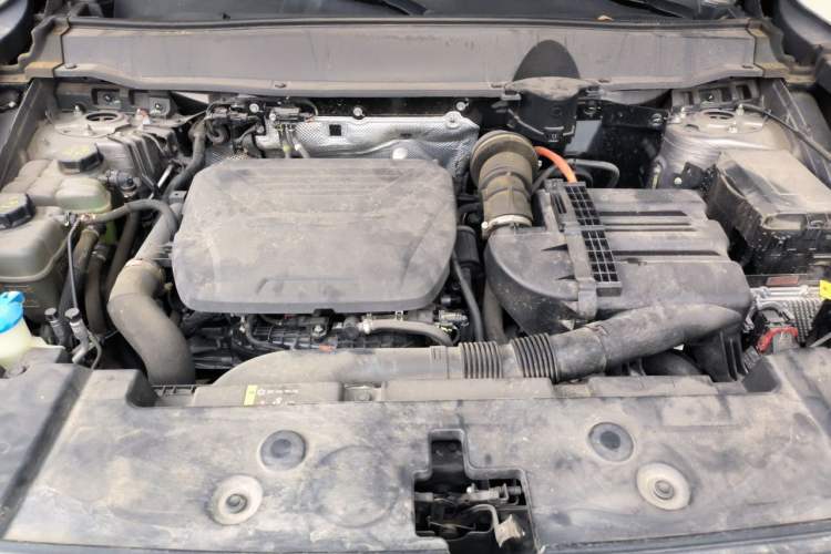 Used Haval H Dog New Energy 2023 DHT-PHEV 105km Tide Electric Version Plus Engine Bay