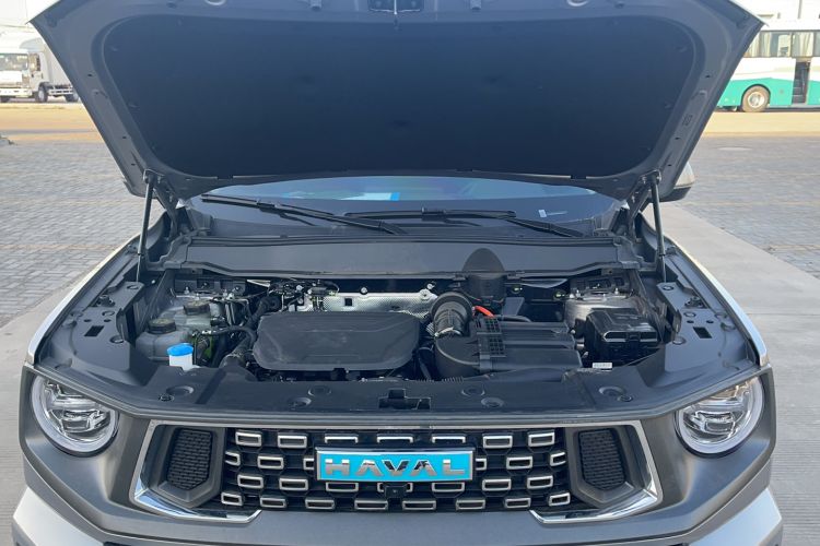 Used Haval H Dog New Energy 2023 DHT-PHEV 105km Tide Electric Version Plus Engine Bay