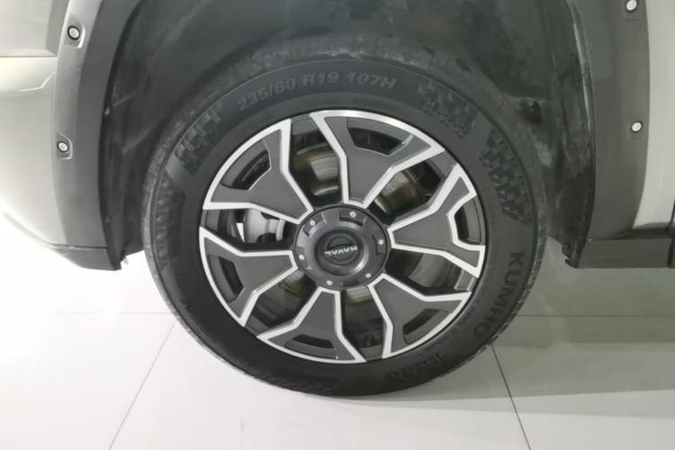 Used Haval H Dog New Energy 2023 DHT-PHEV 105km Tide Electric Version Plus Exterior 4