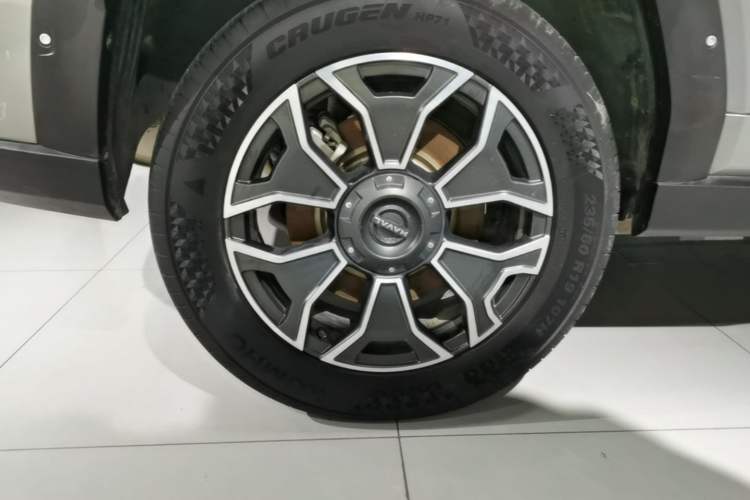 Used Haval H Dog New Energy 2023 DHT-PHEV 105km Tide Electric Version Plus Exterior 5