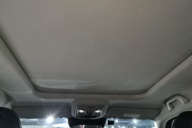 Used Haval H Dog New Energy 2023 DHT-PHEV 105km Tide Electric Version Plus Headliner