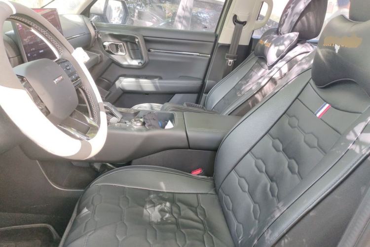 Used Haval H Dog New Energy 2023 DHT-PHEV 105km Tide Electric Version Plus Left Front Seat