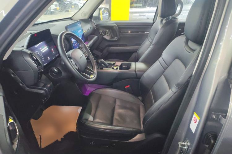 Used Haval H Dog New Energy 2023 DHT-PHEV 105km Tide Electric Version Plus Left Front Seat