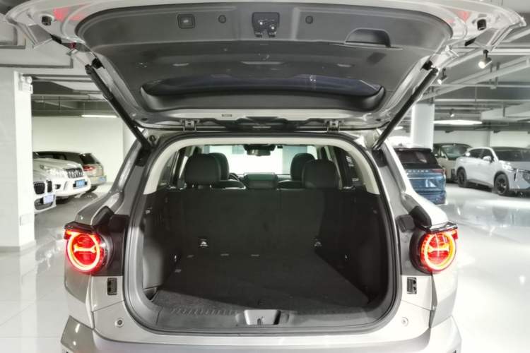 Used Haval H Dog New Energy 2023 DHT-PHEV 105km Tide Electric Version Plus Trunk