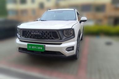 Used Haval H Dog New Energy 2023 DHT-PHEV 105km Tide Electric Version Plus