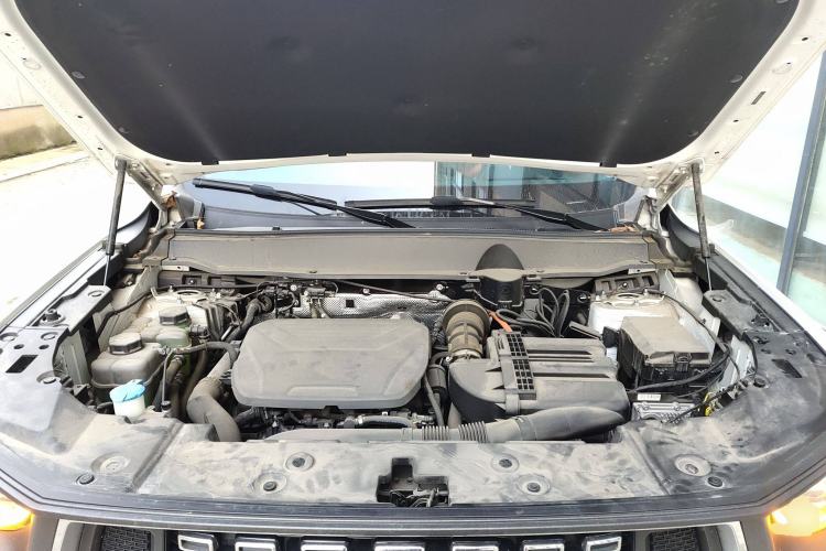 Used Haval H Dog New Energy 2023 DHT-PHEV 105km Tide Electric Version Plus Engine Bay