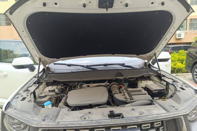 Used Haval H Dog New Energy 2023 DHT-PHEV 105km Tide Electric Version Plus Engine Bay