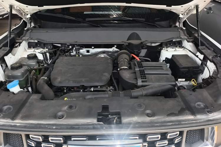 Used Haval H Dog New Energy 2023 DHT-PHEV 105km Tide Electric Version Plus Engine Bay