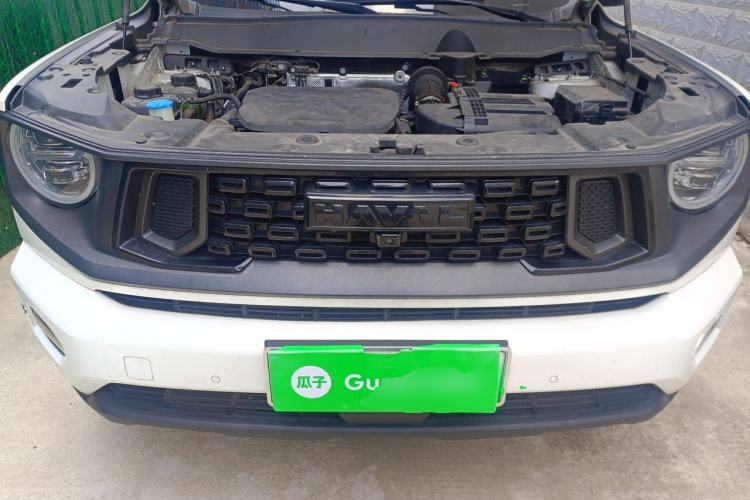 Used Haval H Dog New Energy 2023 DHT-PHEV 105km Tide Electric Version Plus Engine Bay